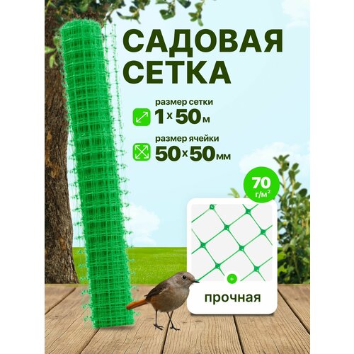 ������ ������ ����� ����������� ������� 1 x 50 � ������ 50 x 50 ��, ��������� 70 �/�2, ������� ����