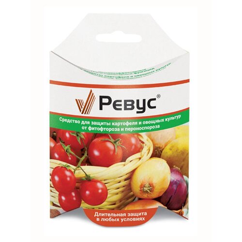 ������ ������ ���� ��������� �������� ��� ������ ��������� � ������� ������� �����, 24 ��, 25 � ����