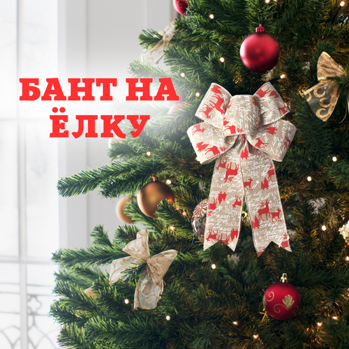 ������ ������ ���� ��������� ��� ����, ����������� �����, ���������, ������� ����