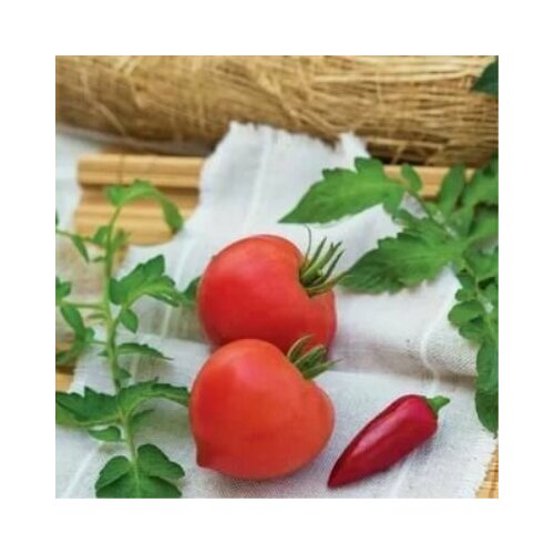 ������ ������ ������������� ������ ������ ������� ������� ����