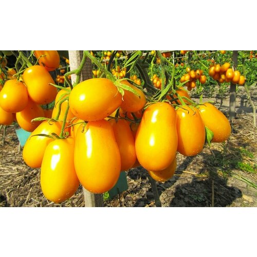 ������ ������ ������������� ������ ������ ������ �������� Ƹ���� ����