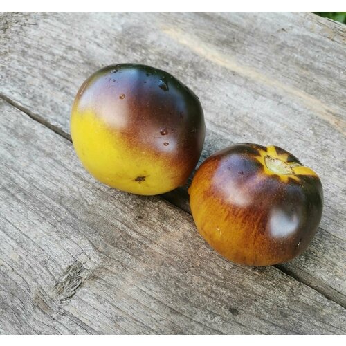 ������ ������ ������������� ������ ����� ���������� �������� ����