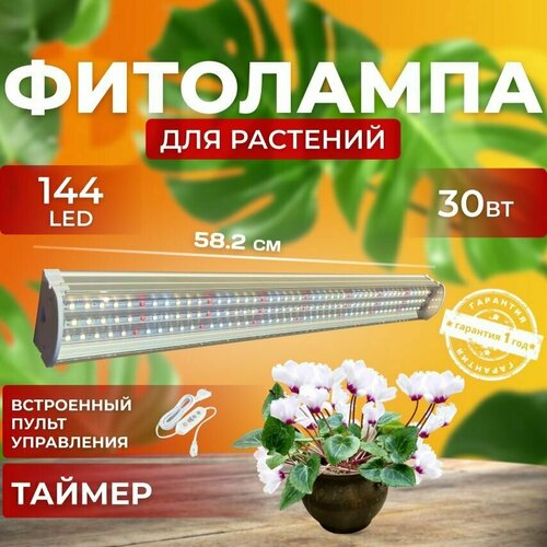                30  144 LED   -     , -,   