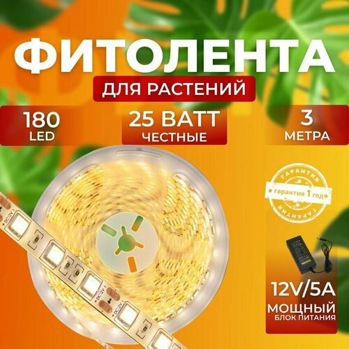 ������ ������ ��������� ��� ����������� �������� ������� ������ ������ ��������� �������� ���������� ������������ ����� ��� ������ 180 LED, 25 ���� 3 ����� ����