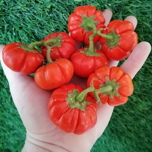 ������ ������ ������ ������ �������� ��������� ������� ��������� 5 ��. ����