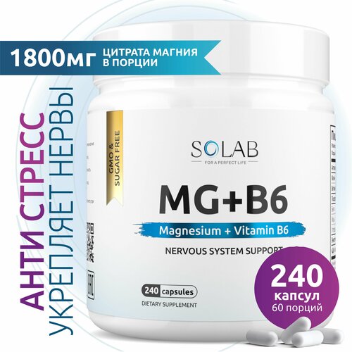 ������ ������ ������ �6 (������ ������ � ��������� �6), �������� ��� ������� �������, 240 ������ ����