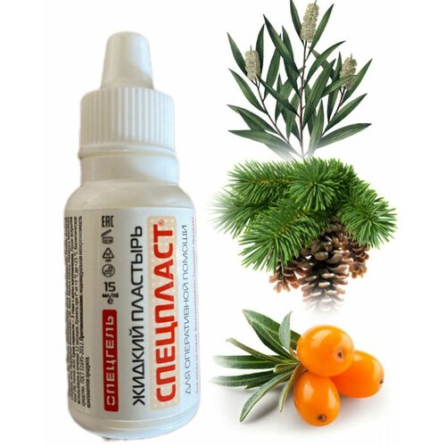 ������ ������ �������� ������ 