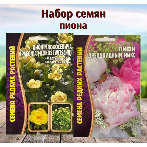 ������ ������ ������ ����������� ���� ����������� � ����������� ������ ����