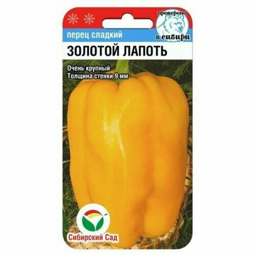 ������ ������ ����� ������� ������� ������ ����