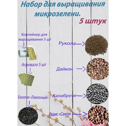 ������ ������ ����� ��� ����������� ����������� 5 ������� ����