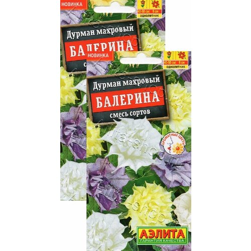 ������ ������ ������ �������� ��������, ����� ������ (3 ��) ����