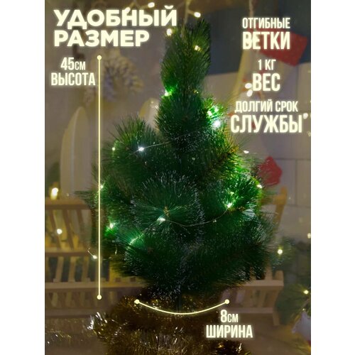 ������ ������ ���� ������������� � ������� � �����, 45 �� ����