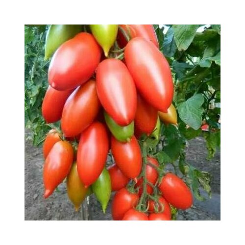 ������ ������ ������������� ������ ������ ������� ����