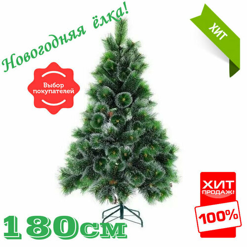 ������ ������ ���������� ������������� ���� 180 �� ����