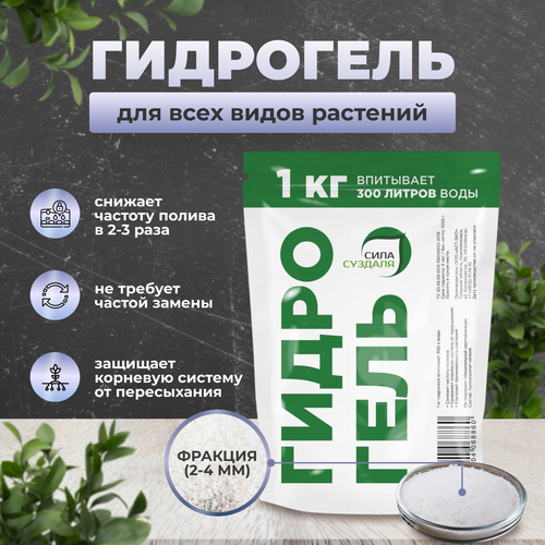 ������ ������ ��������� ���� �������, ��� ������� � ��������� ��������, 1 �� ����