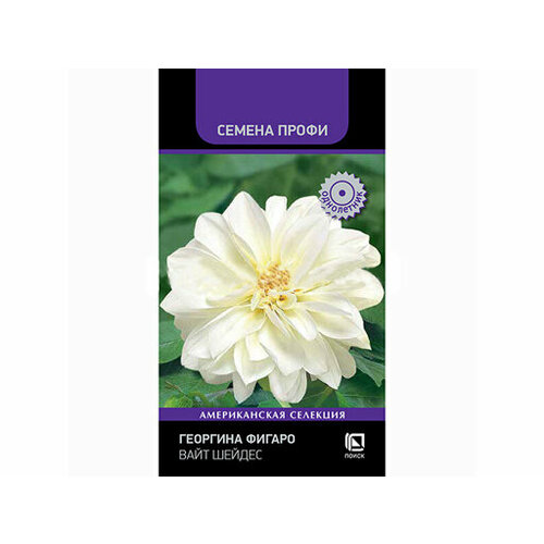 ������ ������ �������� ������ ���� ������ (������ �����) (��) (