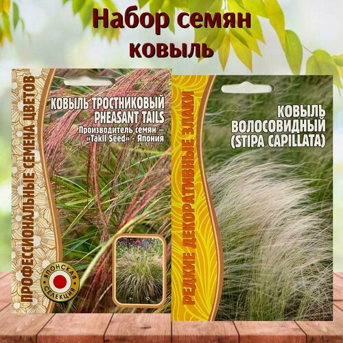 ������ ������ ������ ��� ������������ ������� ������ ������������ � ������������. ����� 2 ��������. ����