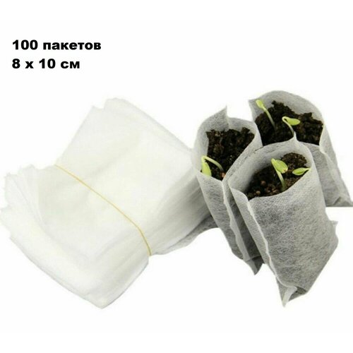 ������ ������ ������ ��� ������� �������������� 8 � 10 �� �������� 100 ���� ����