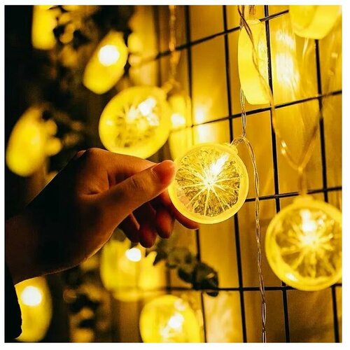 ������ ������ ��������-���� ������������ ������, 4 ����� ����