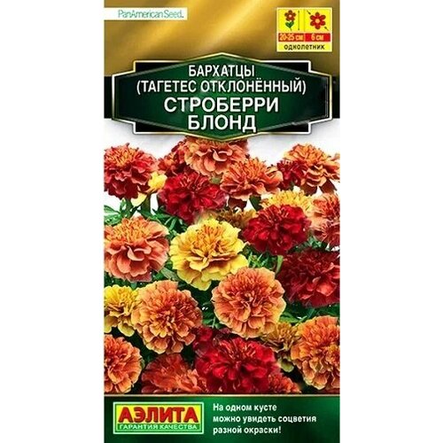 ������ ������ �������� ��������� ����� 5�� ������ ����