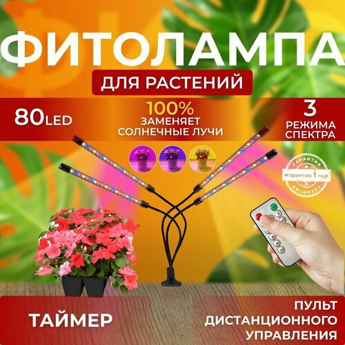 ������ ������ ��������� ��� ����������� �������� ������� ������ ������ �������������� ������������ ��� ������ �� ������ ������� � ��������� � ��������, ����� �������������� ����������, 4 ����� ����