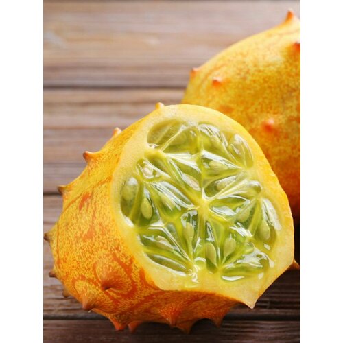 ������ ������ ������ ������ (Cucumis metulifer), 10 ���� ����