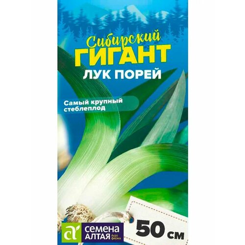 ������ ������ ��� ����� 