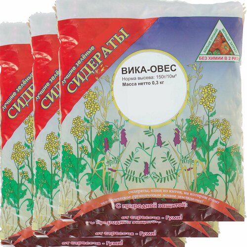 ������ ������ ������� 