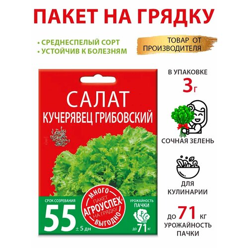 ������ ������ ������ ������ ��������� ���������� 3� ����