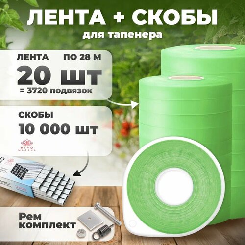 ������ ������ ����� ��� �������� 28�. 110 ���. 20 ���� + ����� 10.000�� + ����������� ����