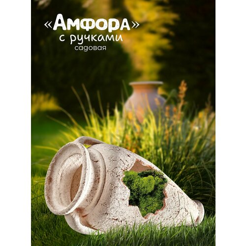 ������ ������ ������ � ������� ����