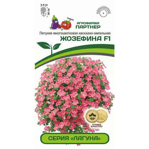 ������ ������ ������ ������� �������� F1 ����� ������ 5�� ������� ����