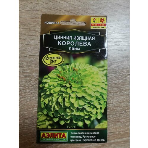 ������ ������ ������ �������� ���� ��. � 5�� ����