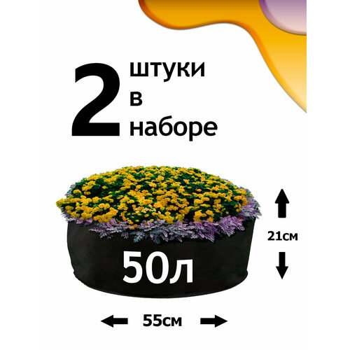 ������ ������ ������ �� ����������� - 50� - 2�� ����
