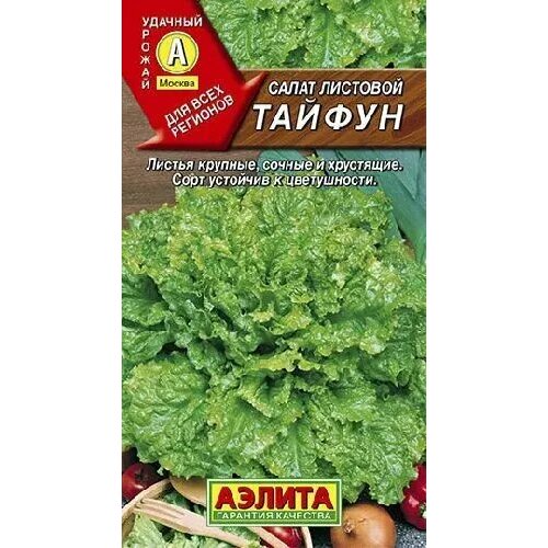 ������ ������ ����� ������, ������ ������ 0,5� ����