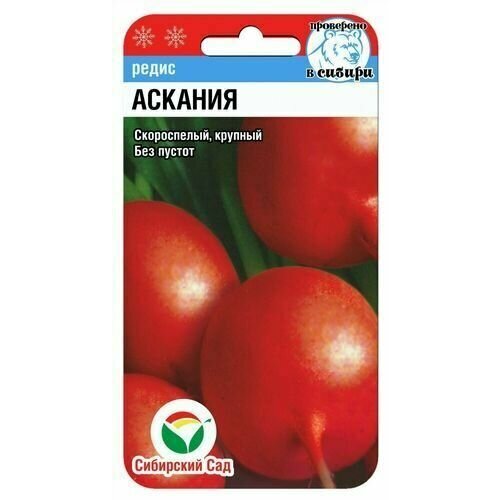 ������ ������ ����� ������� 2� (��� ���) ����