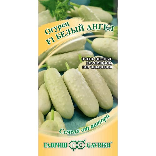 ������ ������ ������ ������ ����� ����� F1, 10��, ������, ������ �� ������ ����