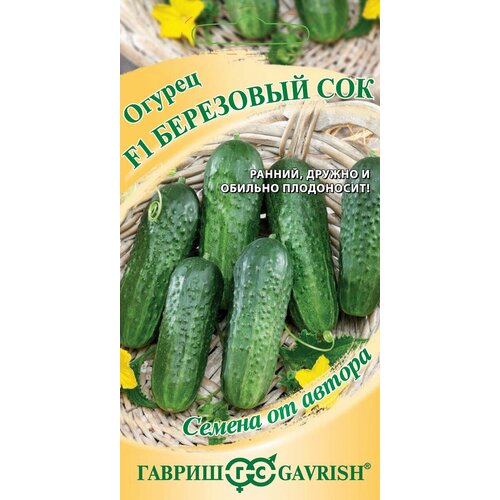 ������ ������ ������ ������ ��������� ��� F1, 10��, ������, ������ �� ������ ����