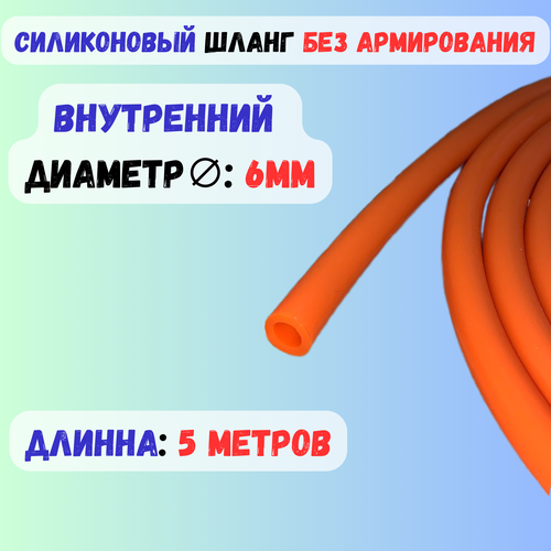 ������ ������ ����� ����������� ��������� 6�� ��������� - 5 ������ ����