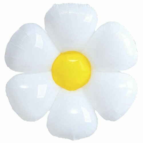 ������ ������ ��������� ��� ��������������, ������� ������ �������, 43 ����� (108 ��) ����