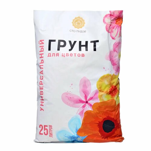 ������ ������ ����� ��� ����� ��� ������ 25� ����