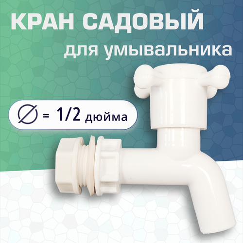 ������ ������ ���� ����� ����