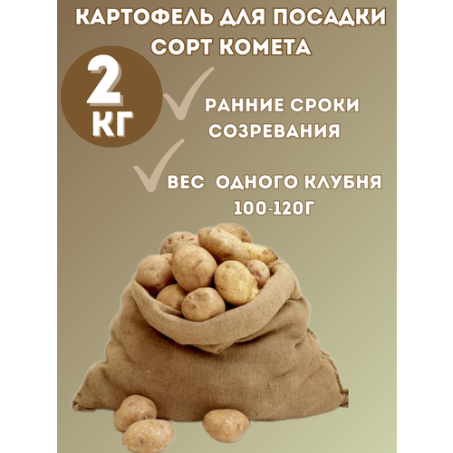 ������ ������ ��������� �������� 