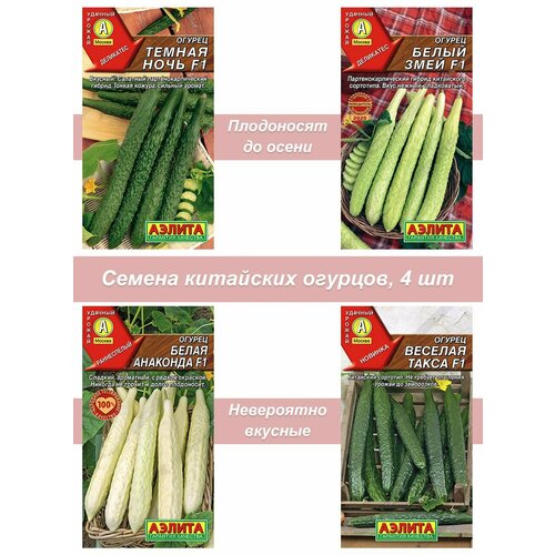 ������ ������ ������ ��������� �������, 4 �� ����