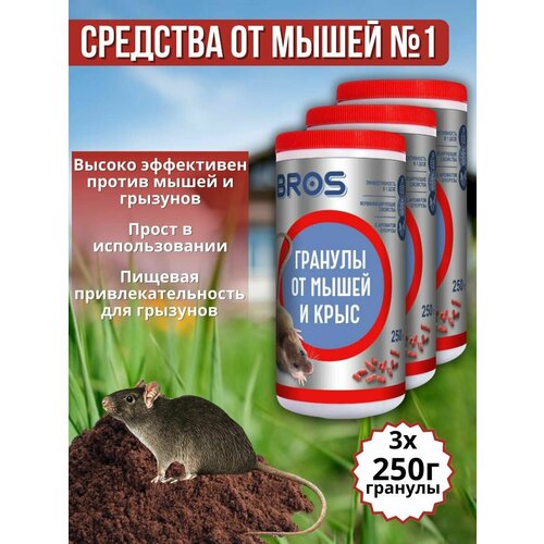 ������ ������ ������� Bros �� ����� � ���� 250 ��,3 �� ����