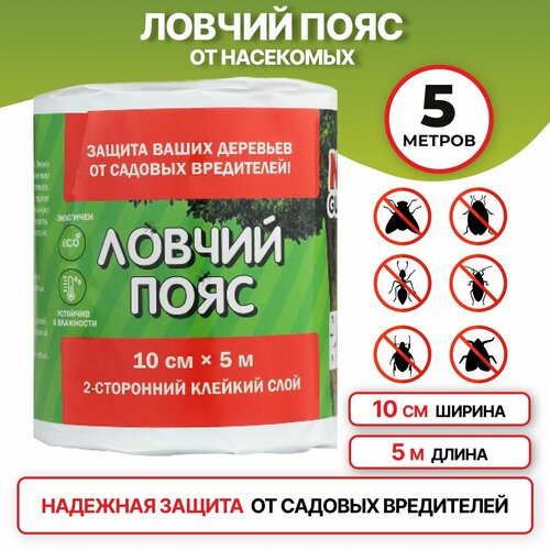 ������ ������ ������ ���� �� ������� ���������� NoGuest, ��� ��������, 5 �, ������ ����� 10 �� ����