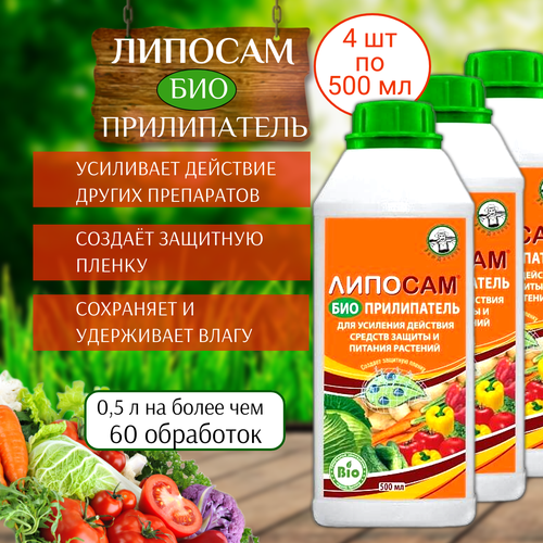 ������ ������ ��������� ����������� ������� 500 ��, 4 �� ����