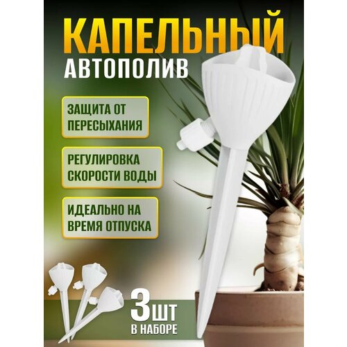 ������ ������ ��������� ��� ��������� �������� ��������� ����� ����