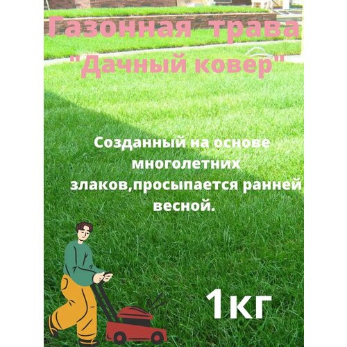 ������ ������ �������� ����� 