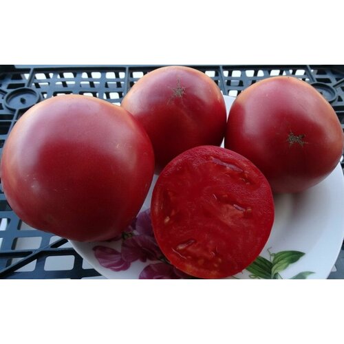 ������ ������ ������������� ������ ������ ���� ������ ����